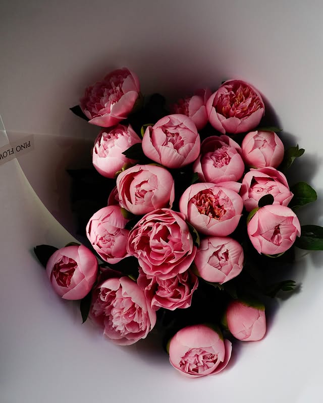Pink Peony Bouquets- 19 Roses